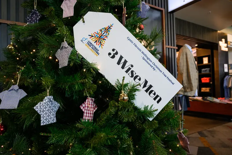 Detail photo of 3 Wise Tree Christmas Tree in the Wellington Airport Christmas Tree Festival 2025