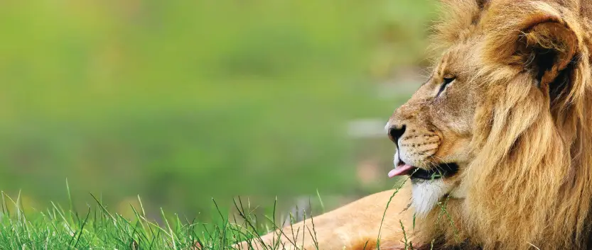 Airport digtial assets_Website - Explore Wellington Page- (1) (1)