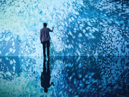 Marshmallow Laser Feast: Works of Nature, 2023, ACMI. Photo © Eugene Hyland