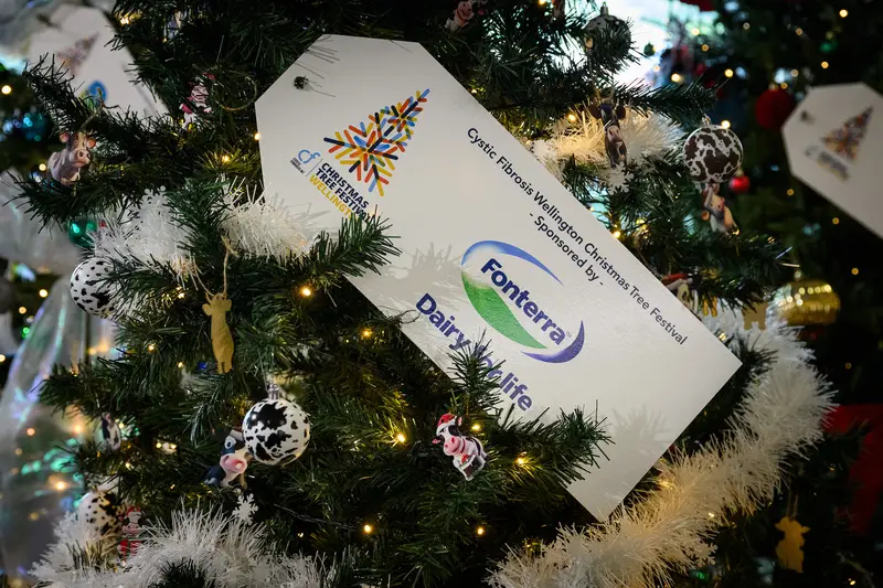 Detail photo of Fonterra Christmas Tree in the Wellington Airport Christmas Tree Festival 2025