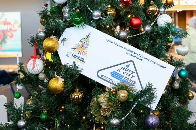 Detail photo of Hutt & City Taxis Christmas Tree in the Wellington Airport Christmas Tree Festival 2025