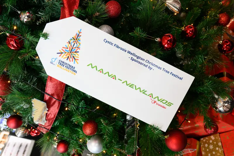 Detail photo of Mana Newlands Coach Christmas Tree in the Wellington Airport Christmas Tree Festival 2025