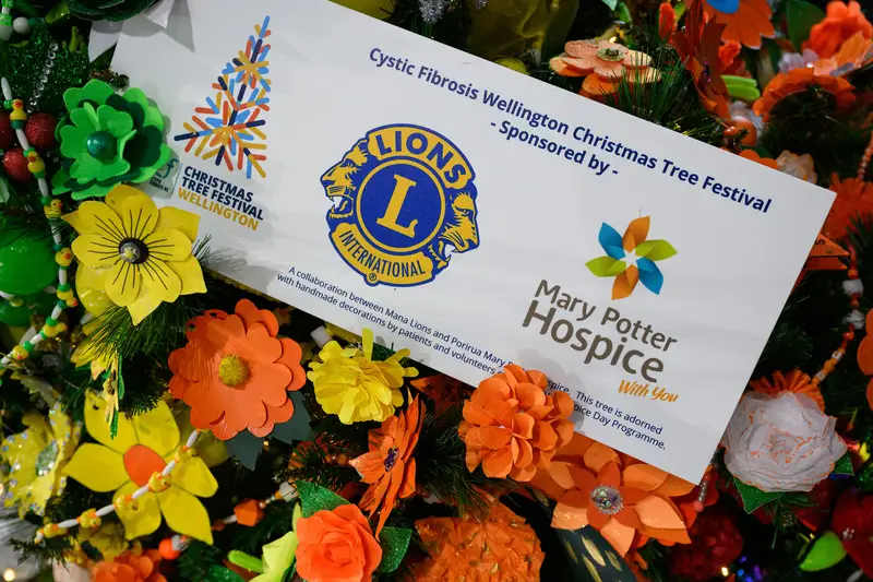 Detail photo of Mary Potter Hospice and Mana Lions Club Christmas Tree in the Wellington Airport Christmas Tree Festival 2025