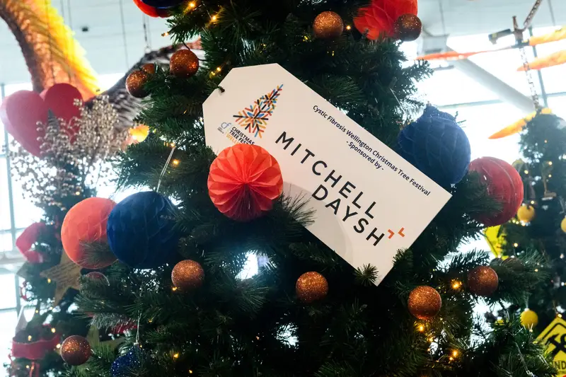 Detail photo of Mitchell Daysh Christmas Tree in the Wellington Airport Christmas Tree Festival 2025