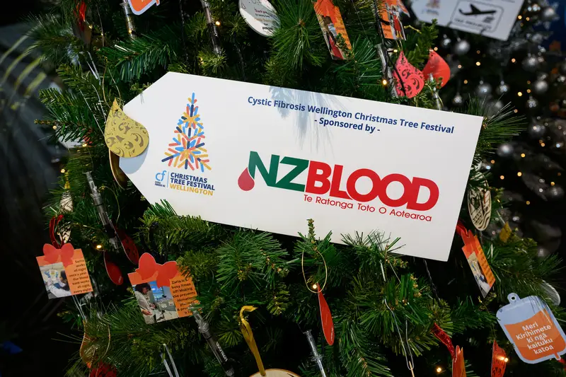 Detail photo of NZ Blood Christmas Tree in the Wellington Airport Christmas Tree Festival 2025