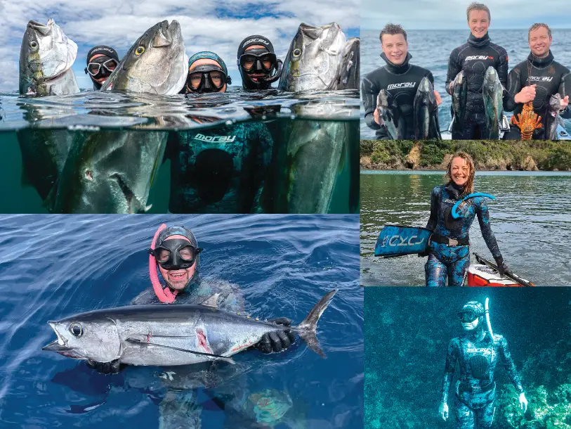 Ocean Hunter Lyall Bay