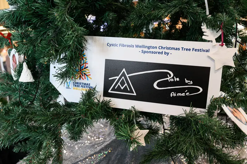 Detail photo of Pots by Aimee Christmas Tree in the Wellington Airport Christmas Tree Festival 2025