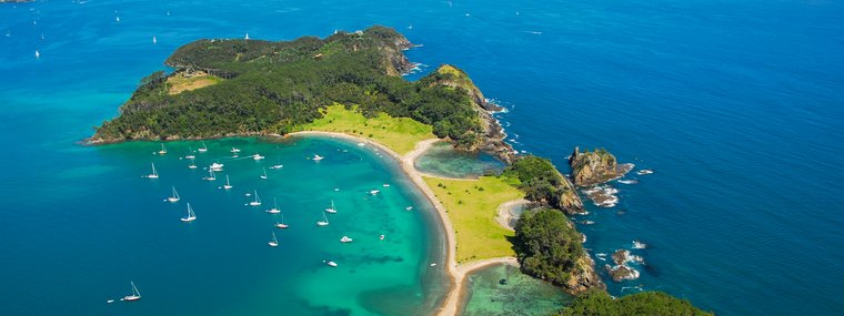 Roberton Island, Bay of Islands.jpg
