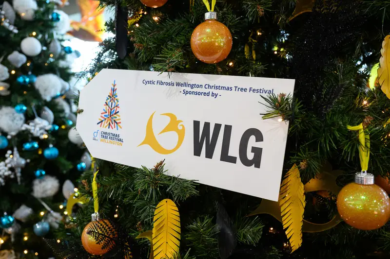 Detail photo of WLG Christmas Tree in the Wellington Airport Christmas Tree Festival 2025